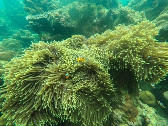 Phuket: Phi Phi & Khai Islands Private Group Day Trip - Highlights