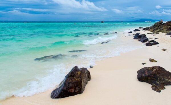 Phuket: Phi Phi Maya & Bamboo Island by Speed Boat Day Trip - Activities and Experiences