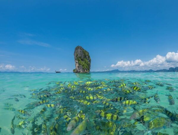 Phuket: Phi Phi Maya & Bamboo Island by Speed Boat Day Trip - Questions You May Have