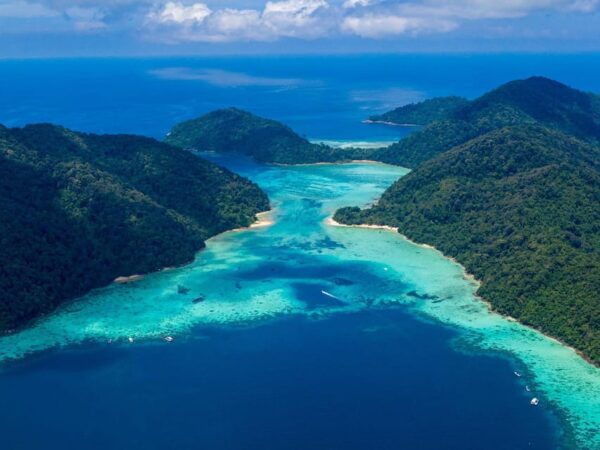 Phuket : Phi Phi Maya Bay & 3 Islands 7 Points by Speedboat - Booking and Cancellation Policies