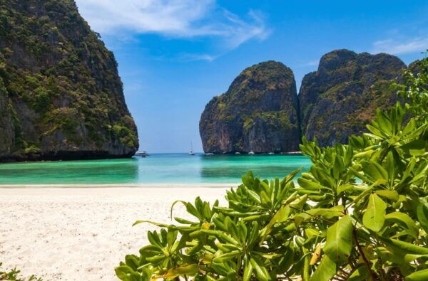 Phuket: Phi Phi Maya Bay & Bamboo Islands by Speedboat Tripe - Booking and Cancellation Policy