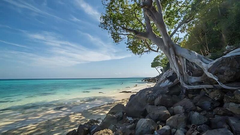 Phuket; Phi Phi, Maya Bay, Bamboo or Khai Island Speedboat - Who Will Love This Tour?