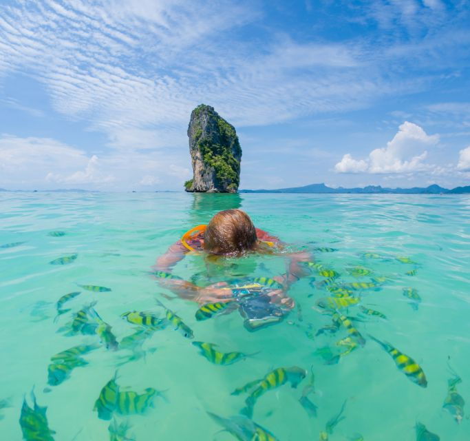 Phuket: Phi Phi, Maya Bay Include Transfer & Sea View Lunch - Activity Highlights