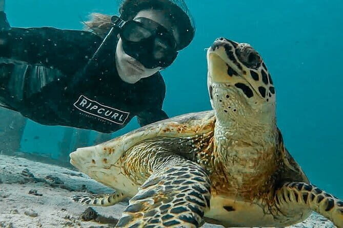 Phuket Phi phi Maya Bay Khai Island Diving Transfer & Buffet - Khai Island: Snorkeling Paradise