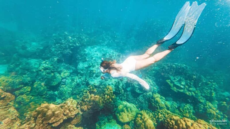 Phuket: Phi Phi, Maya Bay, Khai & Snorkeling Tour with Lunch - Authentic Experiences from Reviewers