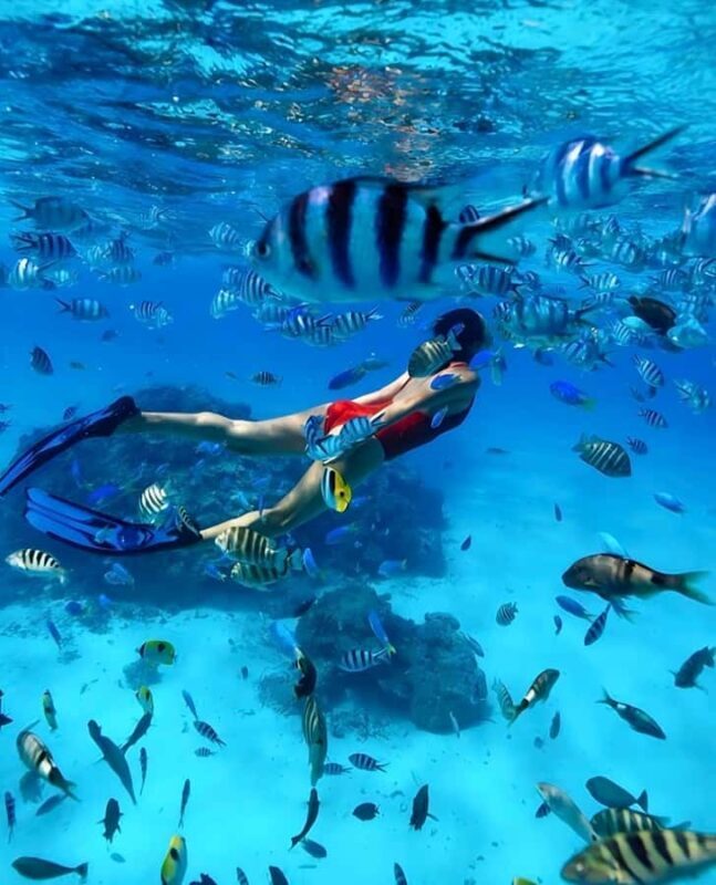 Phuket: Phi Phi & Maya Bay Speedboat Day Trip with Lunch - Good To Know