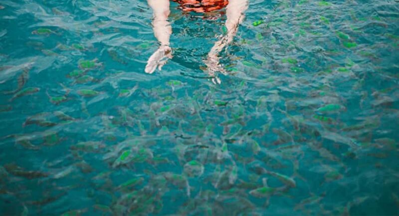 Phuket: Phi Phi & Maya Bay Speedboat Day Trip with Lunch - FAQ