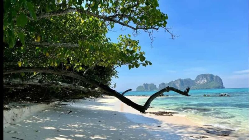 Phuket: Phi Phi, Maya, Khai or Maiton or Bamboo Island Tour - Who Should Consider This Tour?