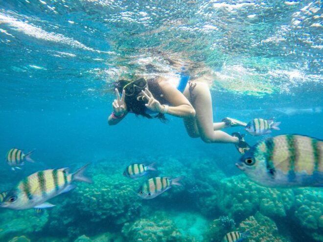 Phuket: Phi Phi Sunrise Boat Tour to Bamboo and Khai Island - Highlights of the Tour