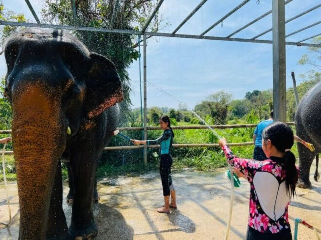 Phuket: Phuket Elephant Care Sanctuary ECO Tour - Starting/Pickup Location