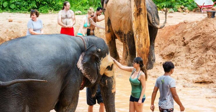 Phuket: Phuket Elephant Sanctuary, Wat Chalong & More - Free Pick-Up Areas and Charges