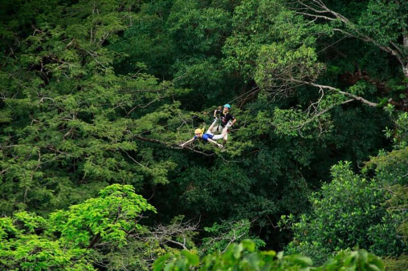 Phuket: Premium Zipline & Ethical Elephant Sanctuary Combo - Good To Know