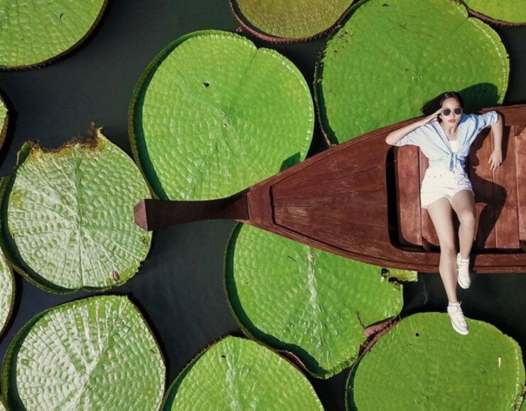 Phuket: Private & All-Inclusive Giant Water Lilies Tour - Tour Highlights