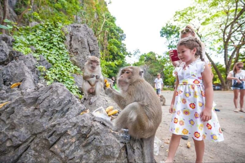 Phuket: Private ATV Jungle Tour to Hidden Forest Temples - FAQs  