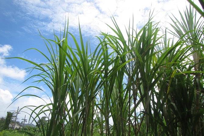 Phuket Private Sightseeing Tour With Rum Tasting and Transport - Tour Overview and Details