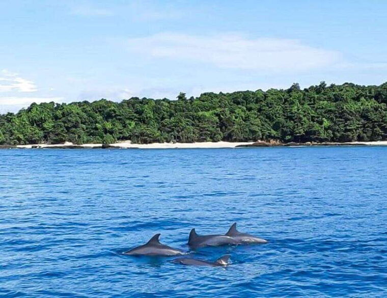 Phuket: Private Speed Boat to Maiton and Khai Islands - Included Services