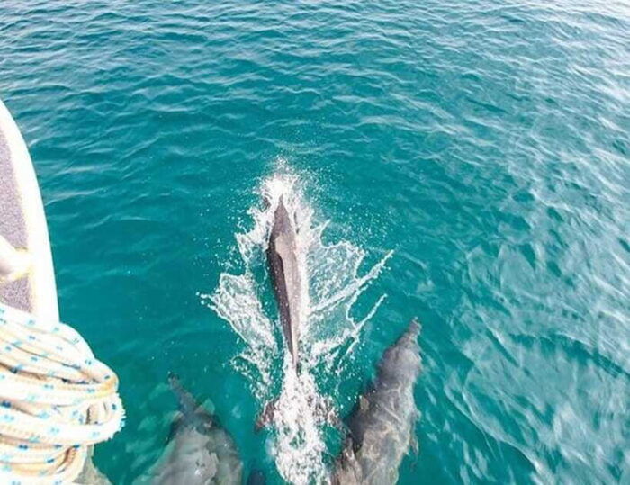 Phuket: Private Speed Boat to Maiton and Khai Islands - Frequently Asked Questions