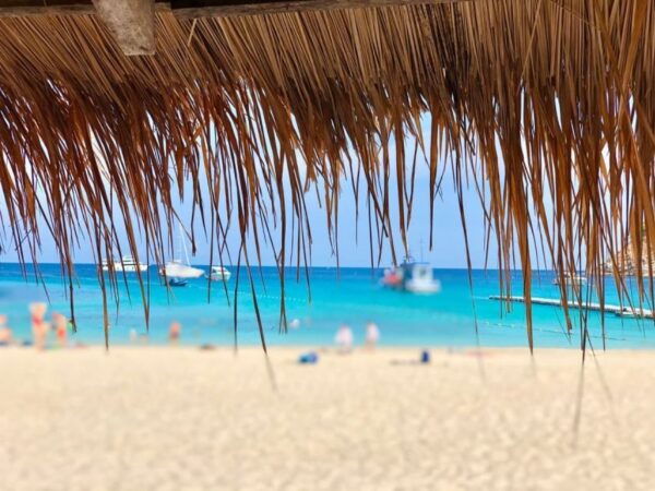 Phuket: Racha Island Snorkeling or Scuba Diving Tour - Activity Description and Options