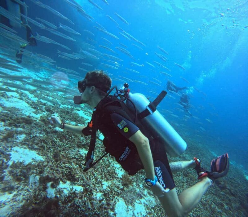 Phuket: Racha Islands 3 scuba dives boat trip PADI GoPro - Who Is This Tour Best For?