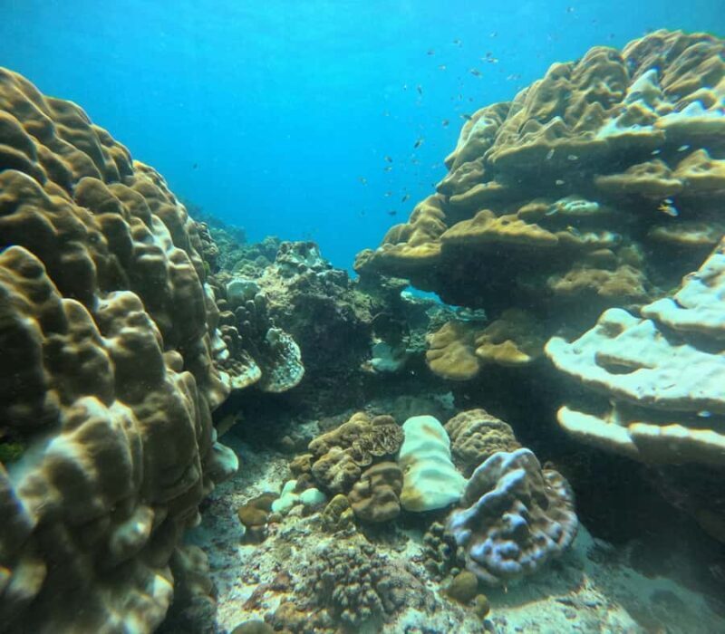 Phuket: Racha PADI Discover Scuba Diving 2 Dives and GoPro - What Makes This Tour Stand Out?