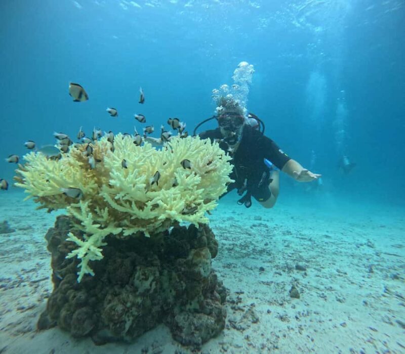 Phuket: Racha PADI Discover Scuba Diving 2 Dives and GoPro - Final Thoughts