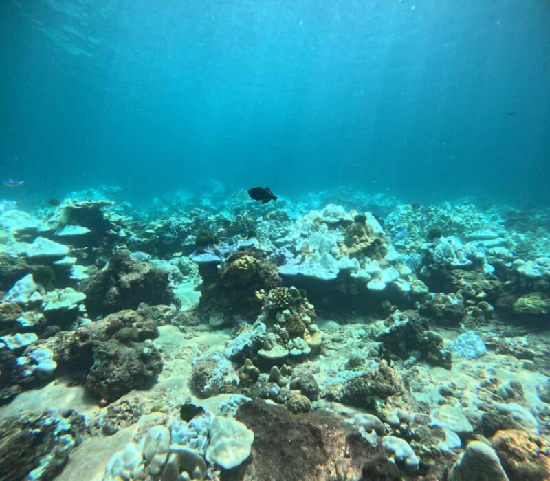 Phuket: Racha PADI Discover Scuba Diving 2 Dives and GoPro - Frequently Asked Questions