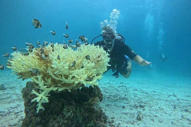 Phuket Racha PADI Discover Scuba Diving 2 Dives and GoPro - Good To Know