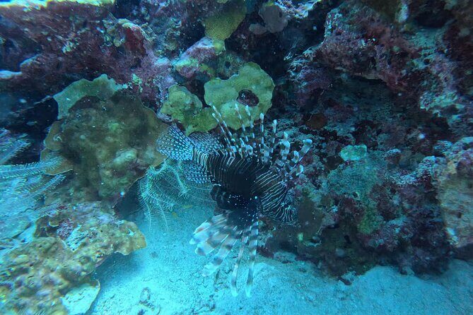 Phuket Racha PADI Discover Scuba Diving 2 Dives and GoPro - FAQs