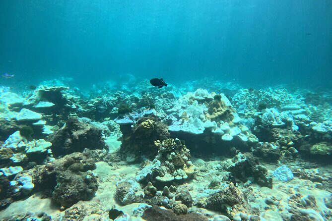 Phuket Racha PADI Discover Scuba Diving 2 Dives and GoPro - Final Thoughts