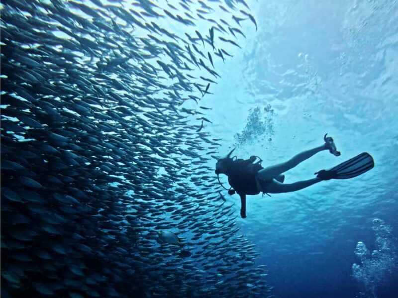 Phuket: Racha Yai & Noi 3-Scuba Dive Day Trip - The Experience in Detail