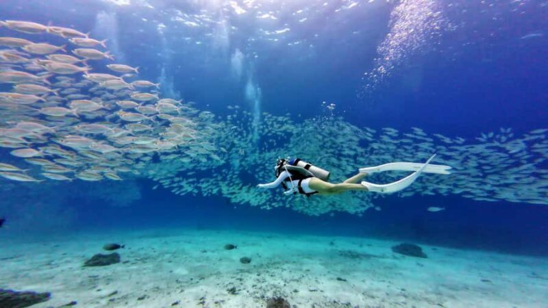 Phuket: Racha Yai & Racha Noi Island Diving Day Trip - Good To Know