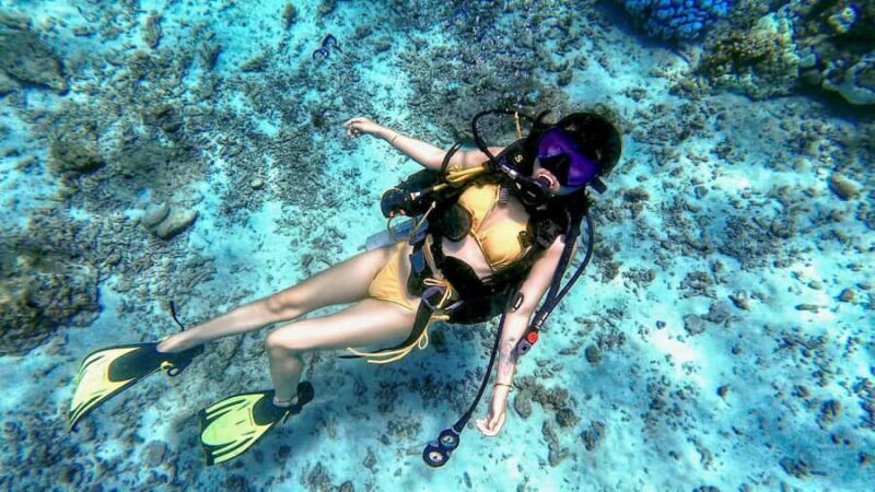 Phuket: Racha Yai & Racha Noi Island Diving Day Trip - What to Expect on This Phuket Diving Day Trip