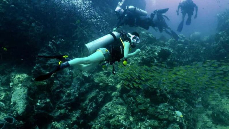 Phuket: Racha Yai & Racha Noi Island Diving Day Trip - Who Is This Tour Best For?
