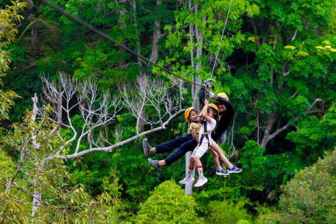 Phuket: Rainforest Eco Zipline Expedition - Safety Guidelines