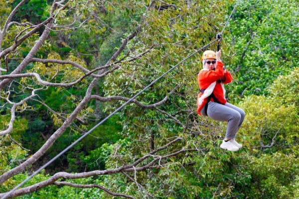 Phuket: Rainforest Eco Zipline Expedition - Experience Highlights