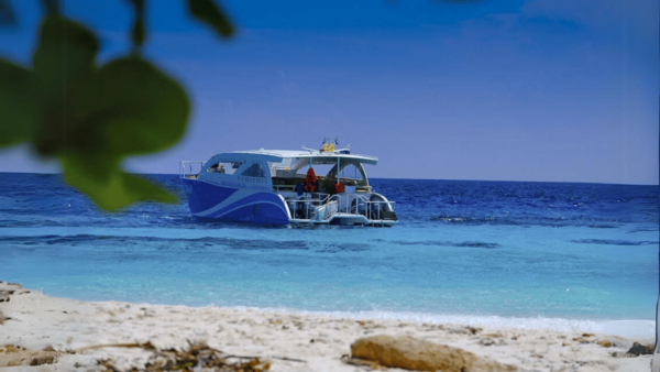 Phuket: Raya Island, Maithon Island, & Dolphin Spotting Tour - Customer Feedback