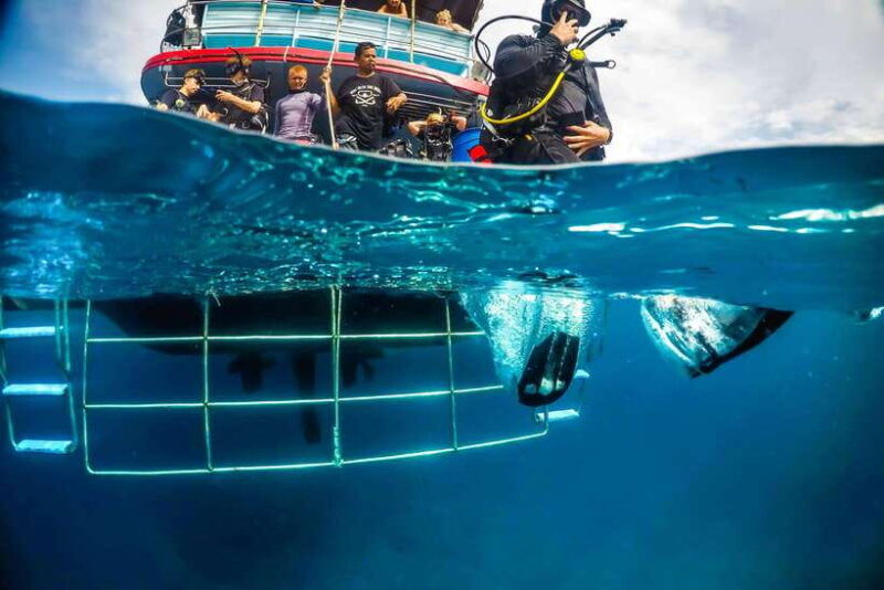 Phuket: RAYA YAI - PADI Open Water Diver Course - Certification and Eligibility