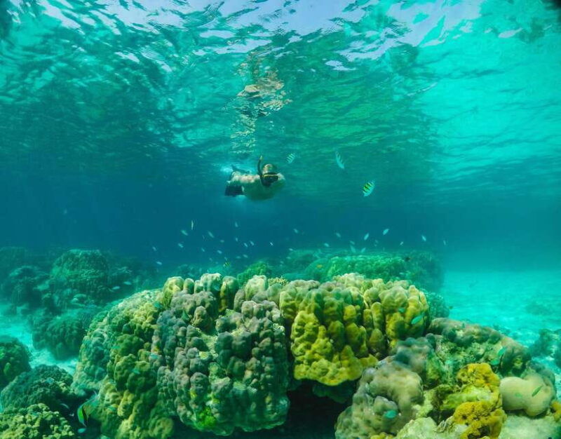 Phuket: RAYA YAI - Snorkeling Safari & Island Tour - Booking and Cancellation Policy