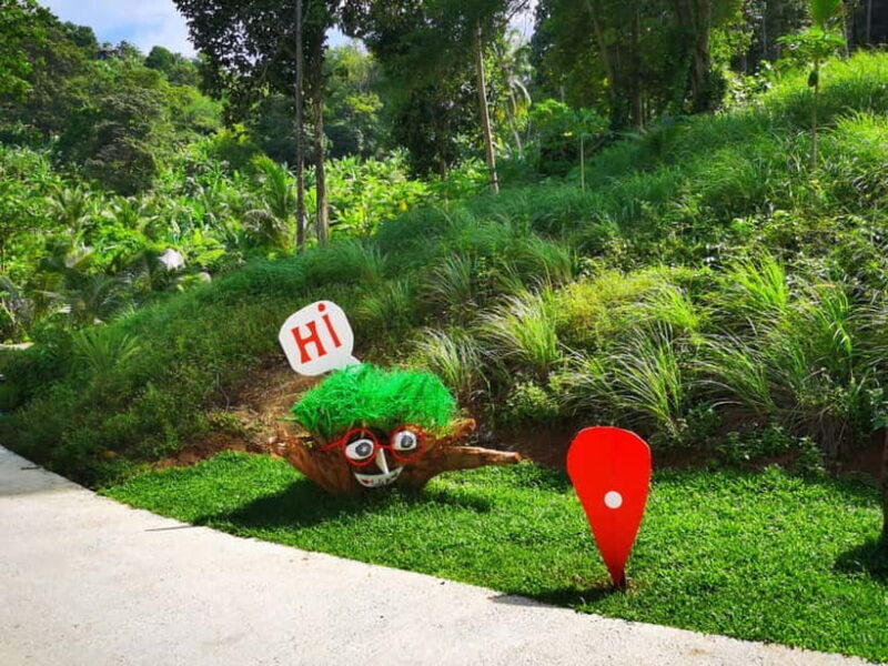 Phuket: Rock Beach Swing Entry Ticket - Experience Review: Phuket Rock Beach Swing Entry Ticket