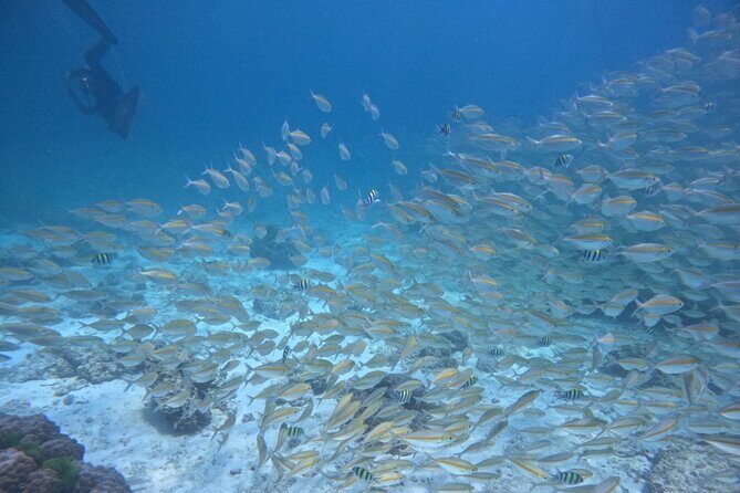 Phuket: Scuba Dive Racha and Coral Islands with Snorkeling Tour - Final Thoughts