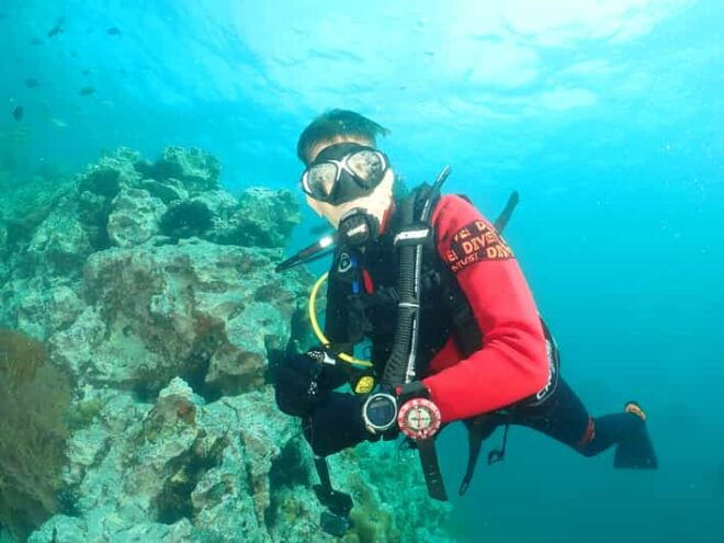Phuket: SCUBA DIVING 3 Dive Day Trip Koh Phi Phi/Shark Point - Safety Guidelines