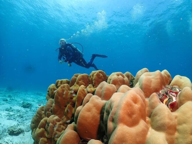 Phuket: SCUBA DIVING Day Trip Racha Yai/ Racha Noi 3 Dives - Safety and Restrictions