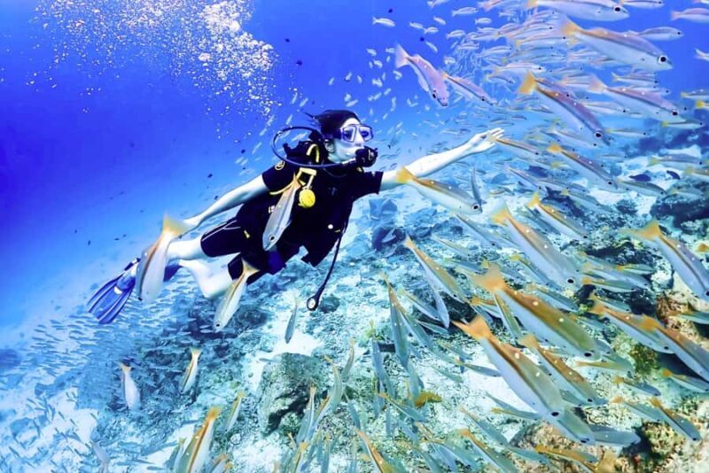 Phuket: Scuba Diving Maithon Or Racha Islands For All Levels - Frequently Asked Questions