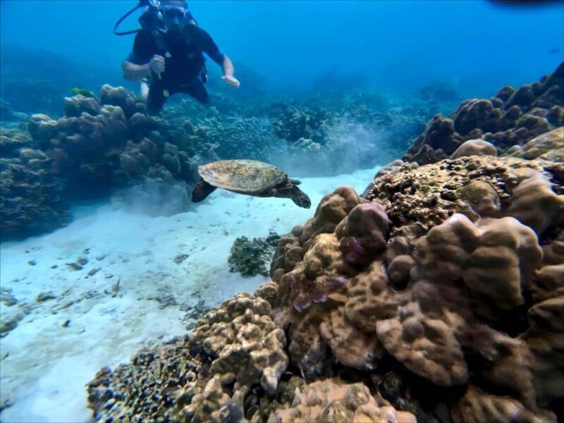 Phuket Scuba Diving Racha Islands 1-3 Dives For All Levels - Good To Know
