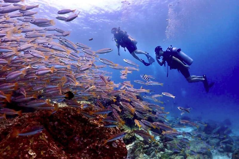 Phuket Scuba Diving Racha Islands 1-3 Dives For All Levels - An Honest Look at the Tour Overview