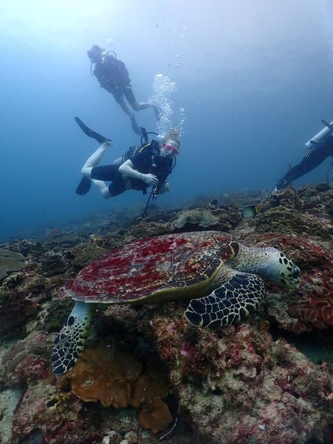 Phuket: Scuba Diving With Seawave Diving Center - Participant Information