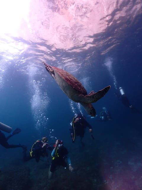 Phuket: Scuba Diving With Seawave Diving Center - Questions You May Have