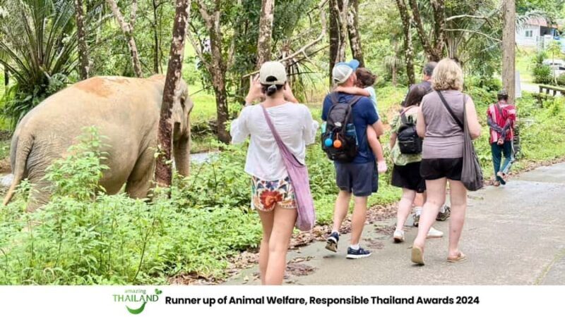 Phuket: Sea Turle Center,Temples,Tsunami & Elephant and More - Good To Know