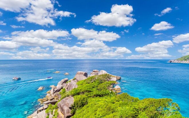 Phuket: Similan Day Trip by Speedboat - Highlights of the Trip