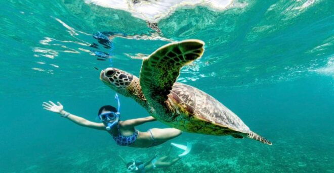 Phuket: Similan Day Trip by Speedboat - Important Information for Participants